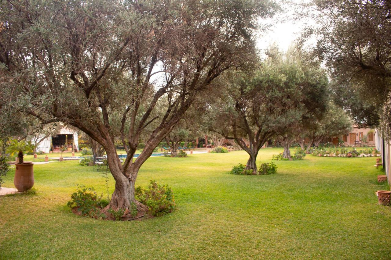 Greenlife Marrakech マラケシュ エクステリア 写真