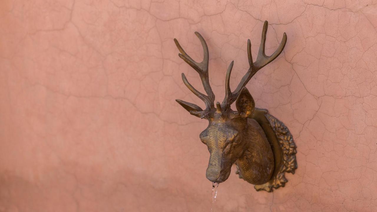 Greenlife Marrakech マラケシュ エクステリア 写真